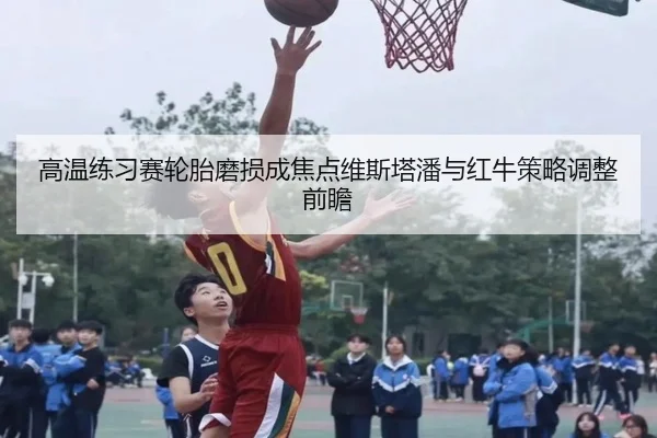 高温练习赛轮胎磨损成焦点维斯塔潘与红牛策略调整前瞻